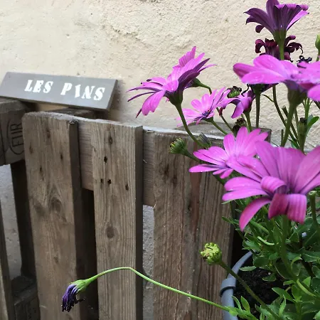 Lejlighed La Maison Du Pecheur